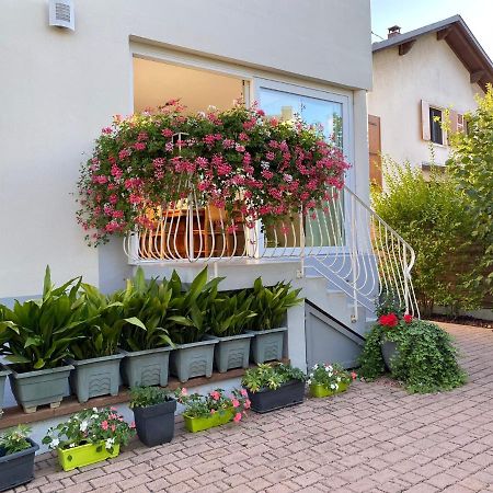 Appartement Le Jardin Lingolsheim Exterior photo