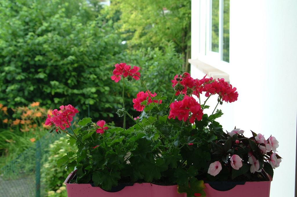 Appartement Le Jardin Lingolsheim Room photo